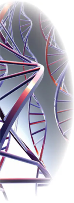 Hci March2007020 Hci0703 Ufig2 Hci March2007020 Hci0703 Ufig2