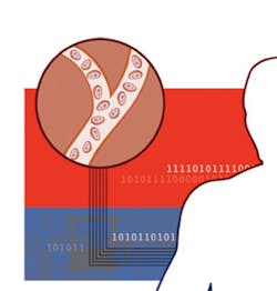 1107better2 1107better2