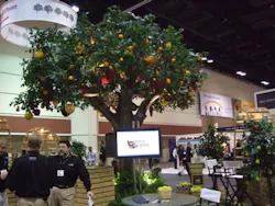 Orchard Copia Orchard Copia