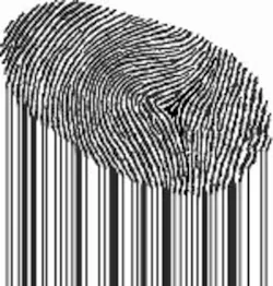 018 Hci0808 Ufig6 018 Hci0808 Ufig6