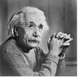 Einstein Einstein