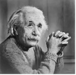 Einstein Einstein