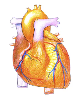 Picture 4 1 Picture 4 1