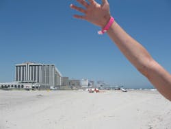 Later Summer 040 Later Summer 040