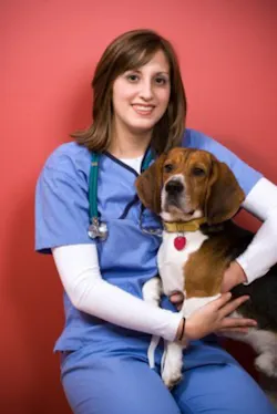Dog Hospital Dog Hospital