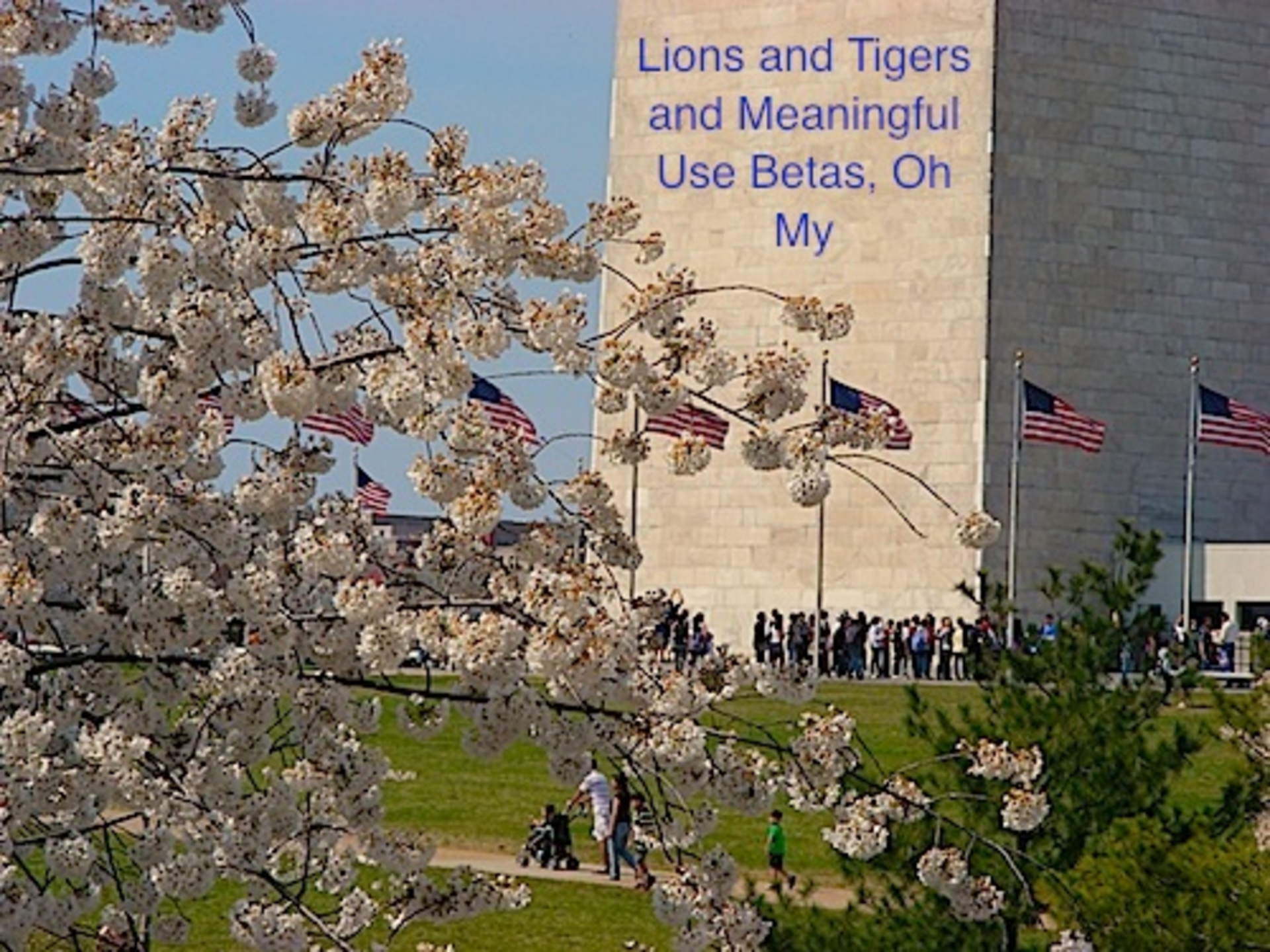 Titled Spring 132kb In Dc