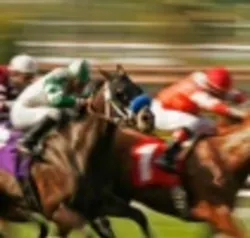 Horserace1 Web Horserace1 Web