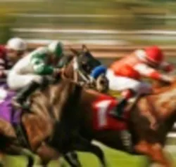 Horserace1 Web Horserace1 Web