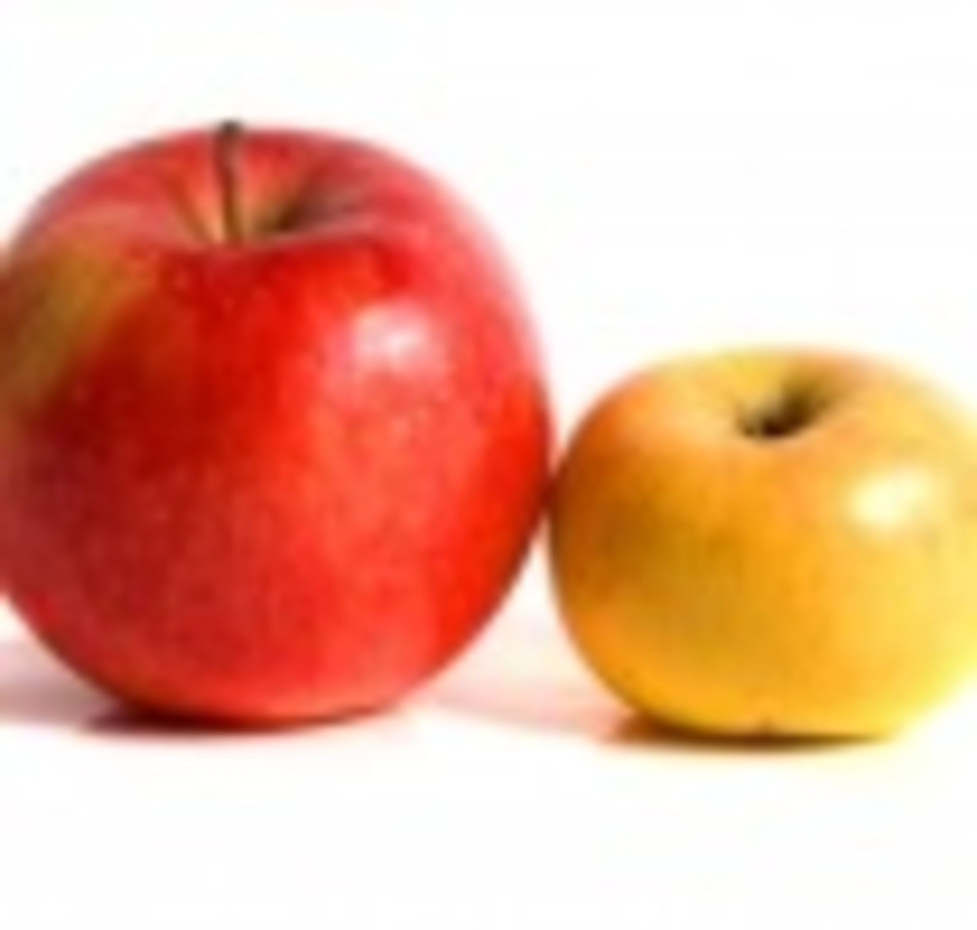 Bigapplelittleapple1 Web