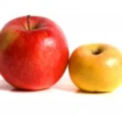 Bigapplelittleapple1 Web Bigapplelittleapple1 Web