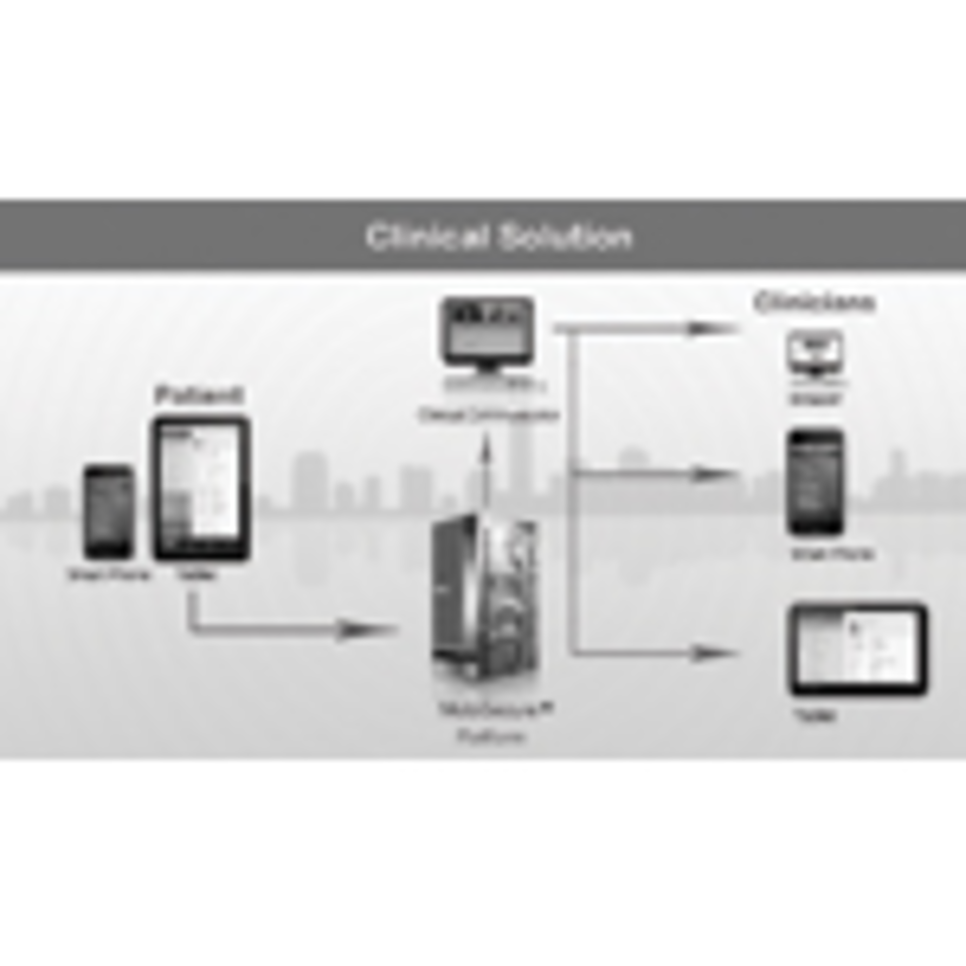 Hmt 201110 Products Diversinet Clinical Communicator2