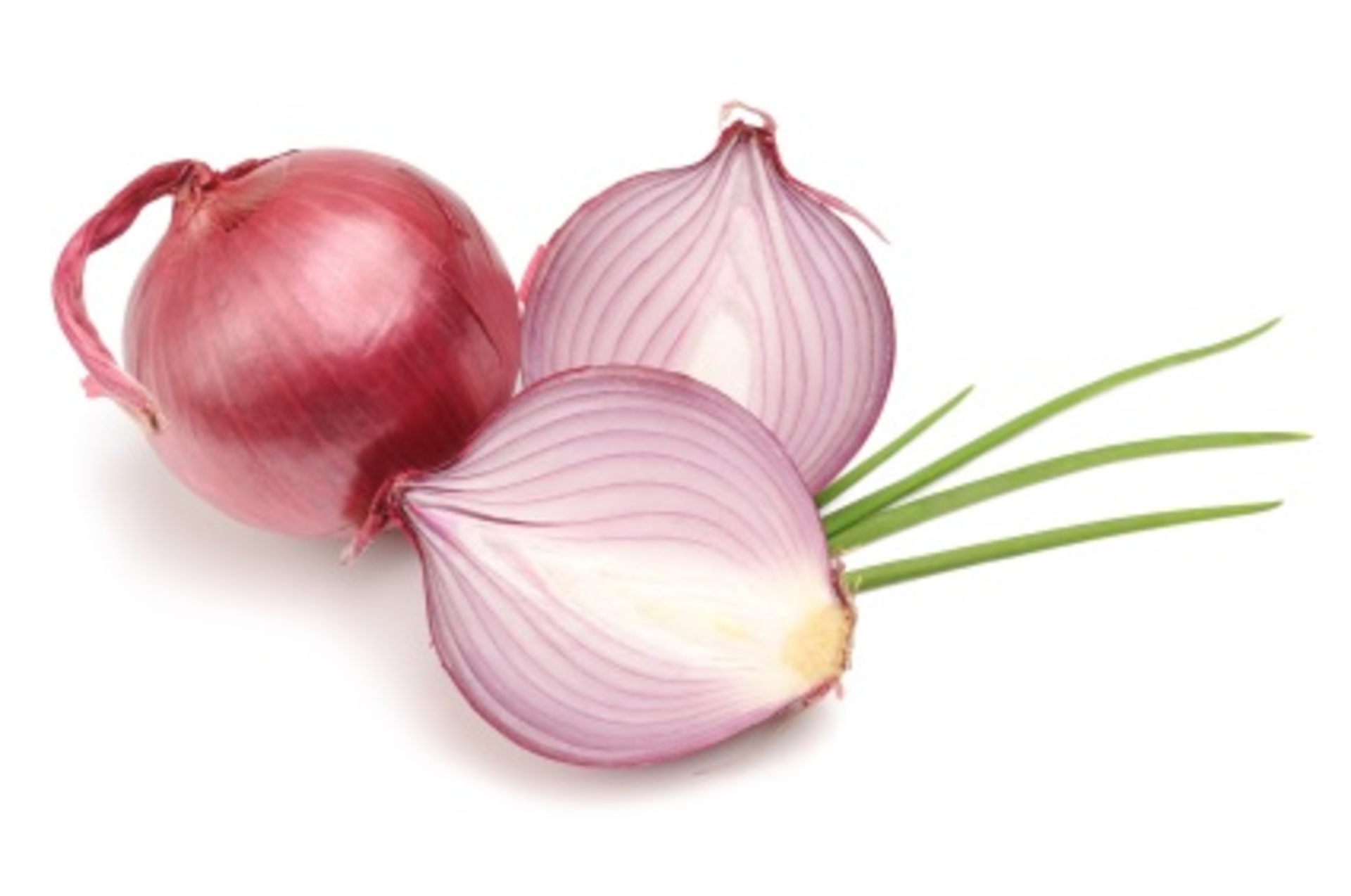 Istock 000014943893xsmall Fh