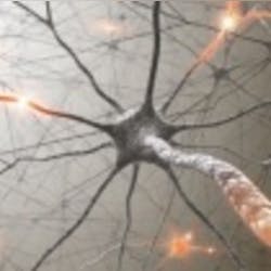 Neurons1 Web 0 Neurons1 Web 0