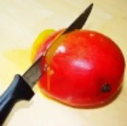 Slicedmango1 Web Slicedmango1 Web