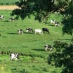 Wisconsin Health Information Exchange Web 0 Wisconsin Health Information Exchange Web 0