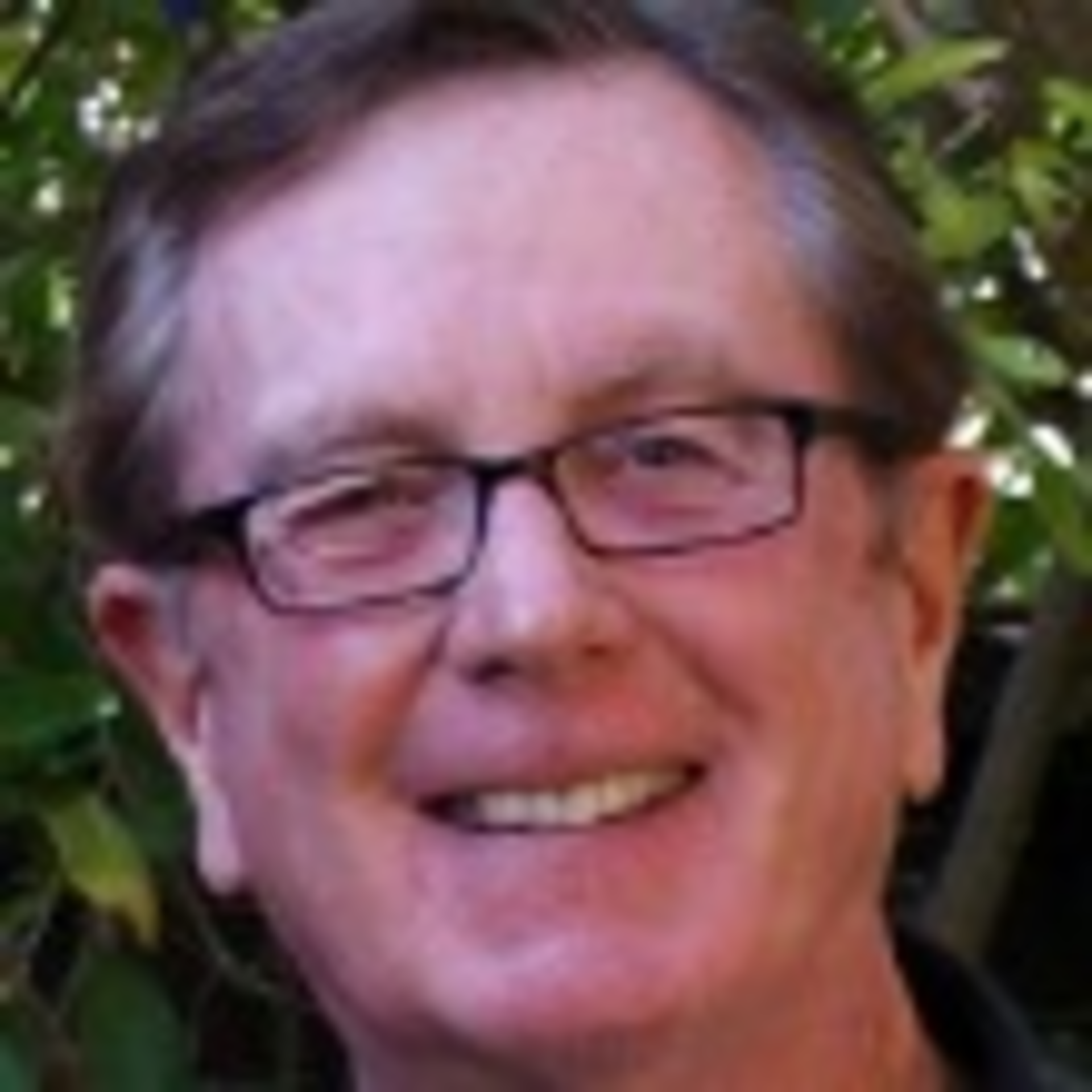 Hnl1 Puridiom Toohey