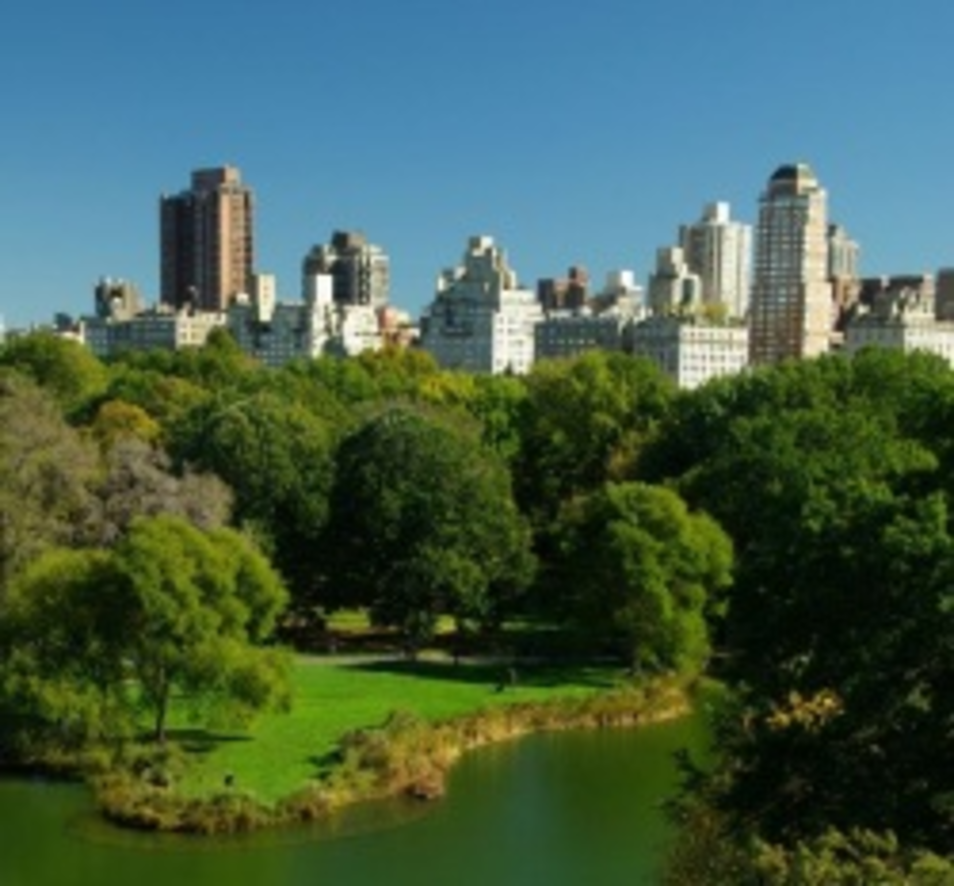 Newyorkcentralpark5763918 Smaller