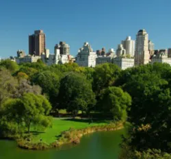 Newyorkcentralpark5763918 Smaller Newyorkcentralpark5763918 Smaller