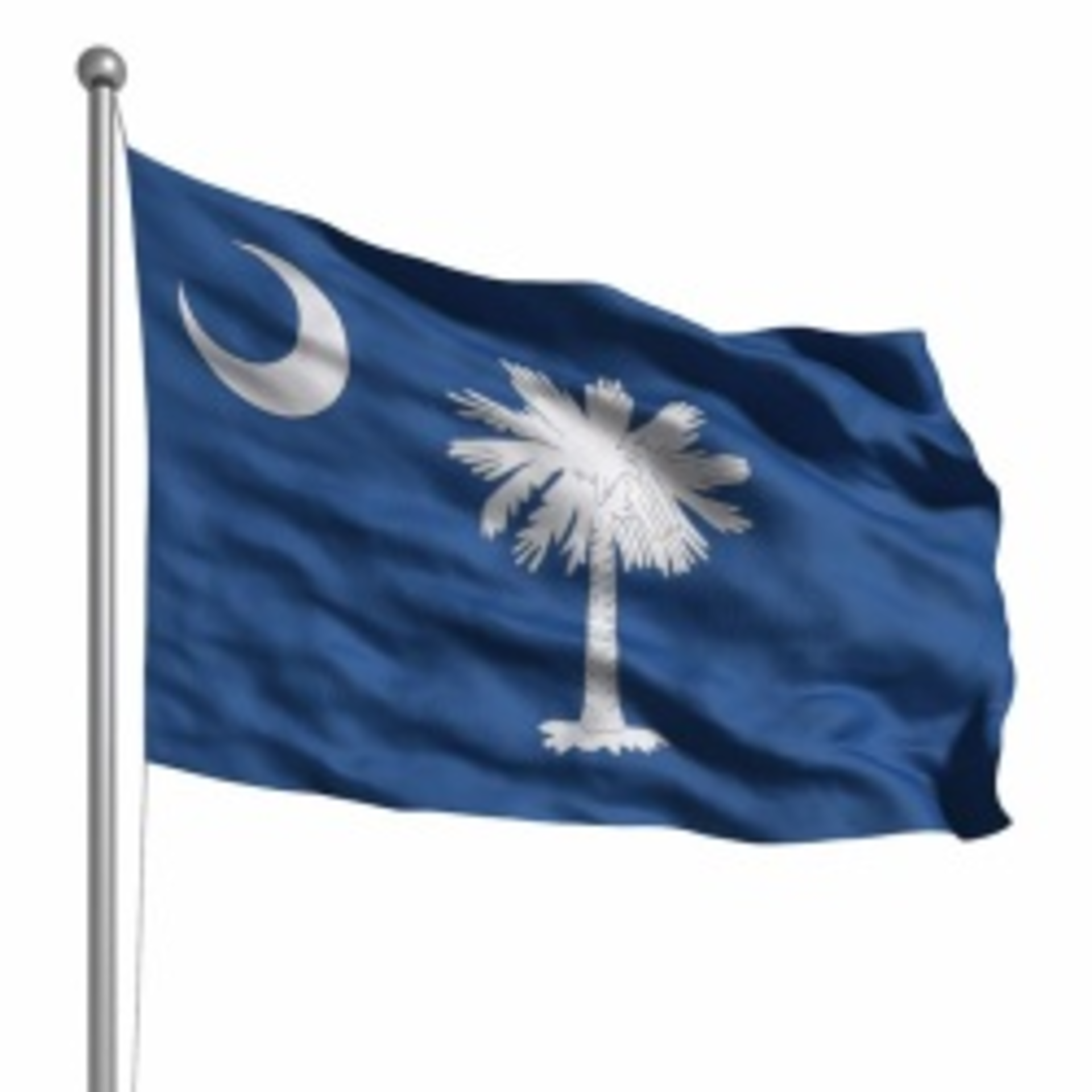 Southcarolinaflag 10033843 Smaller