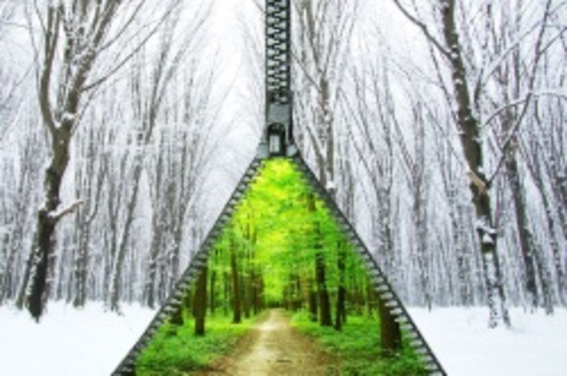 Springpathwinterpath 6480067 Smaller