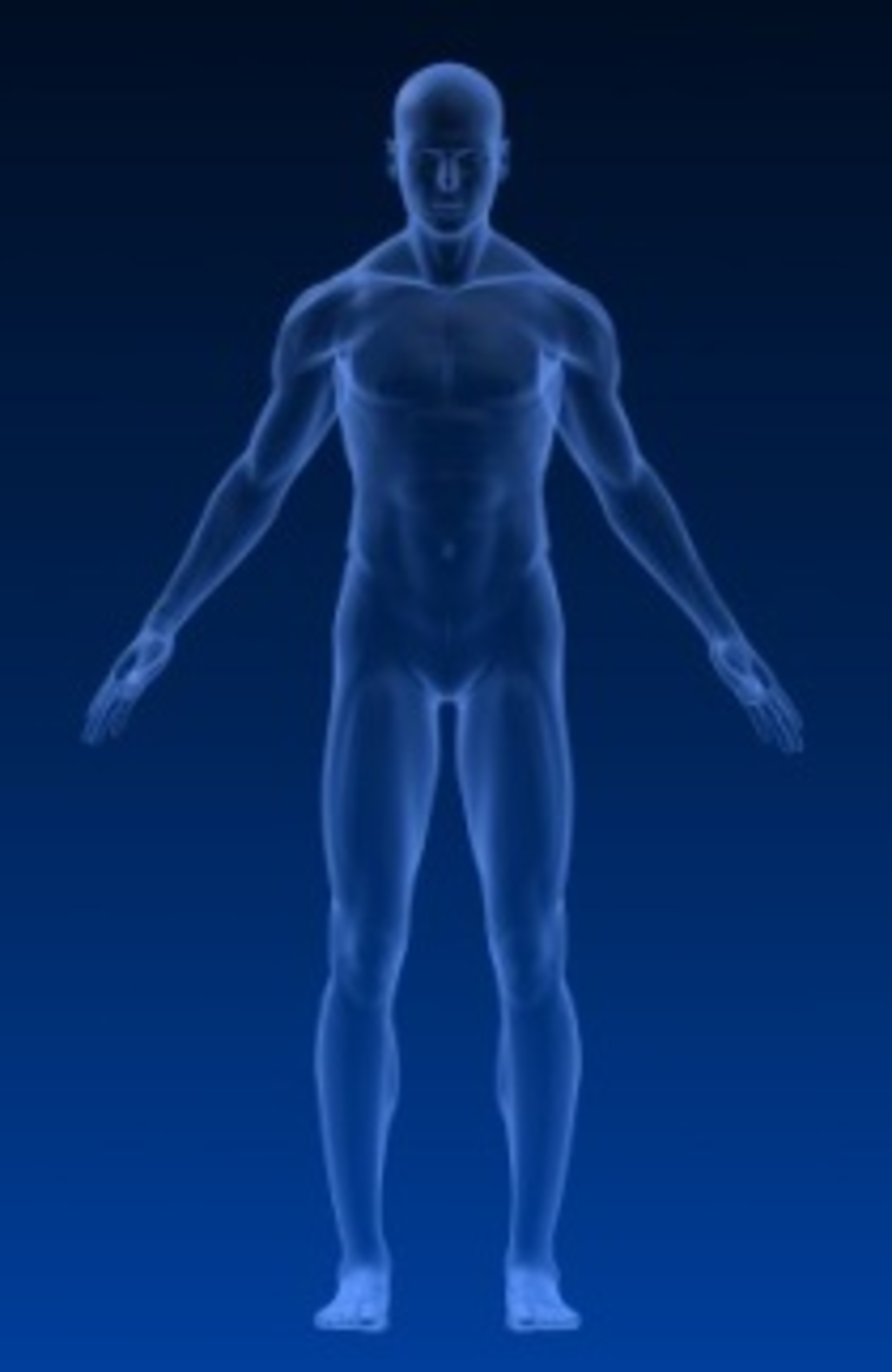 Transparentbody1 4696072 Smaller