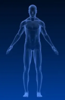 Transparentbody1 4696072 Smaller Transparentbody1 4696072 Smaller