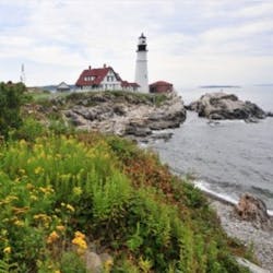 10358449 S 10358449 S