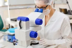 Microscope1 9347589 Web Microscope1 9347589 Web