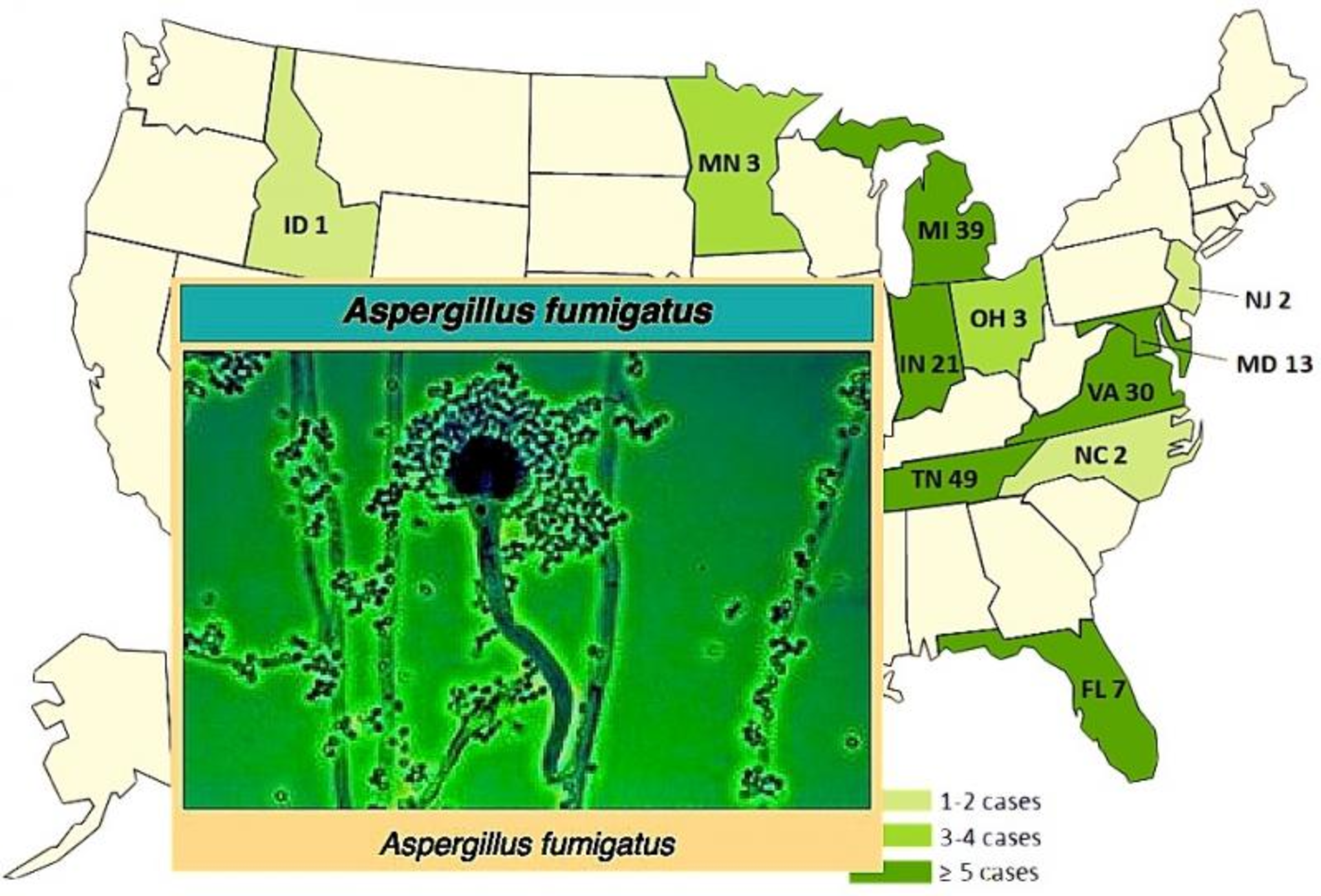Aspergillus Outbreak Map