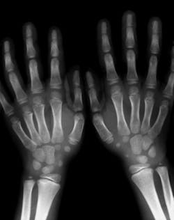 Image Sharing Image Sharing