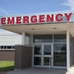 11336575 S 11336575 S