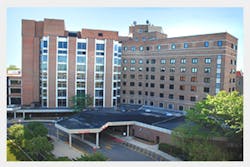 Mercystvincent1 Mercystvincent1