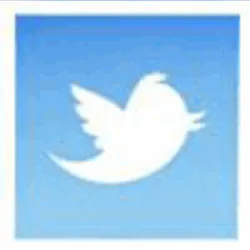 Twitter Twitter