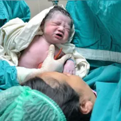 14078058 S 14078058 S