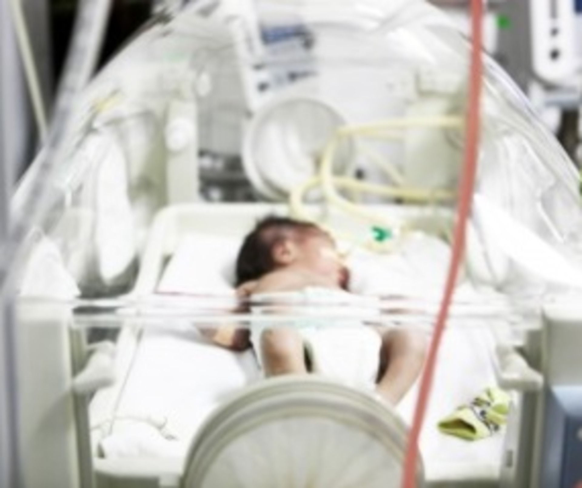 Babyinincubator 12271936 Smaller