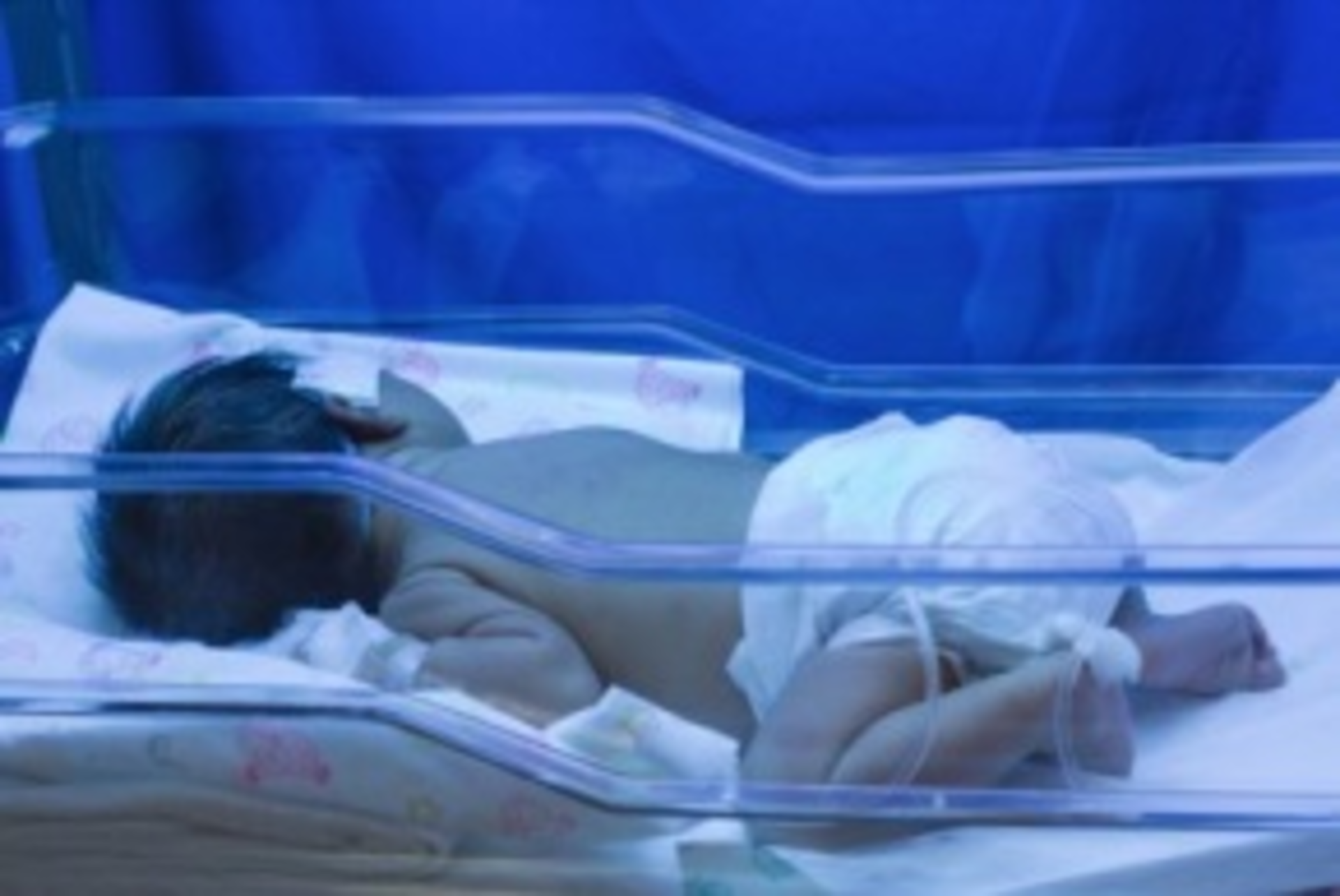 Pediatricicu 19058203 Smaller