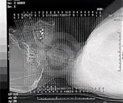 Scout From Web Scout From Web