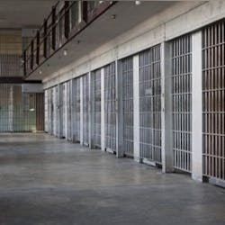 14945142 S 14945142 S