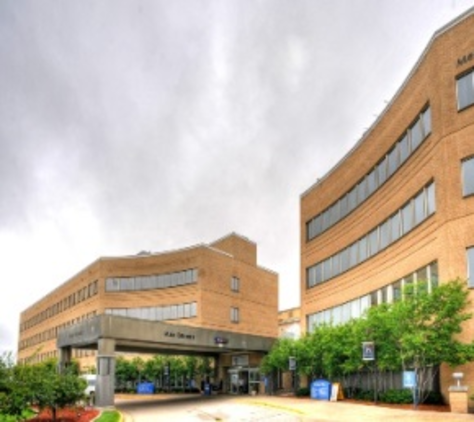 Theda Care Behavioral Health Web