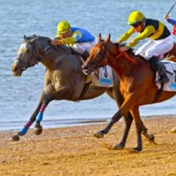 11817335 S 11817335 S