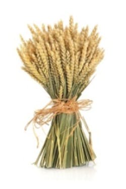 Wheatbundle 11241245smaller Wheatbundle 11241245smaller