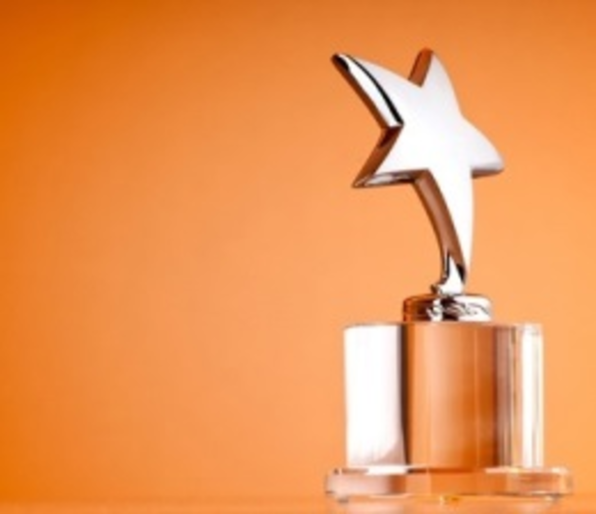 Bronzeaward 9593841 Smaller