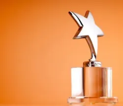 Bronzeaward 9593841 Smaller