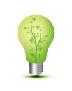 Lightbulbwithplant 5686406 Smaller Lightbulbwithplant 5686406 Smaller