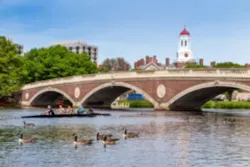 Cambridgemass 29310322 Smaller Cambridgemass 29310322 Smaller