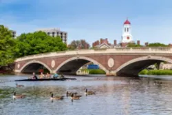 Cambridgemass 29310322 Smaller Cambridgemass 29310322 Smaller