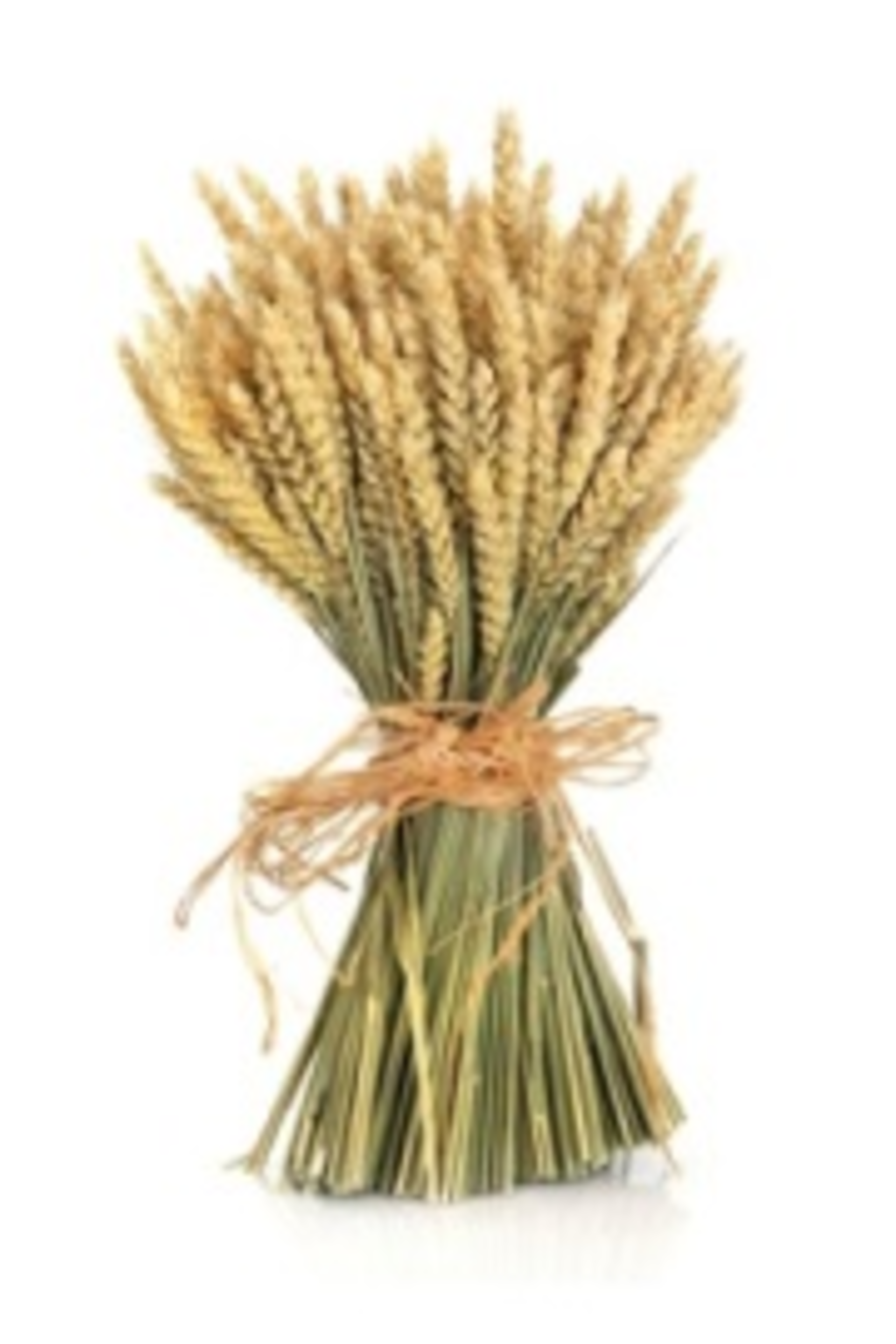 Wheatbundle 11241245smaller