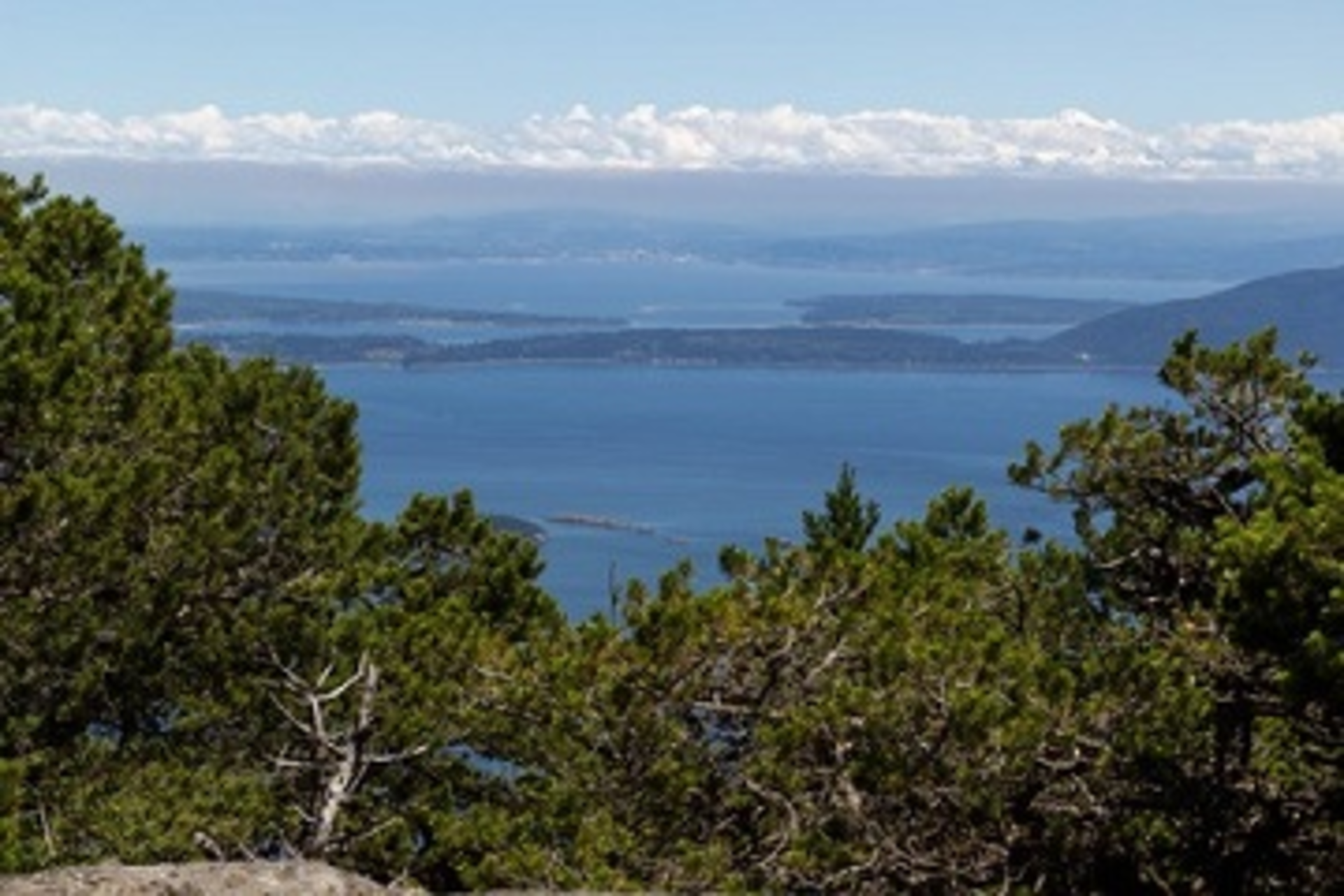 Sanjuanislands 29880078 S