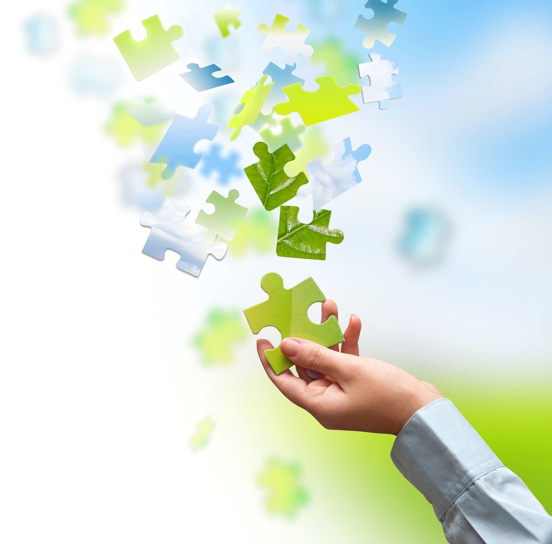 Missing Puzzle Piece