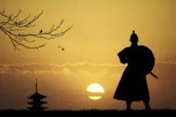 Samurai 31171578 Smaller Samurai 31171578 Smaller